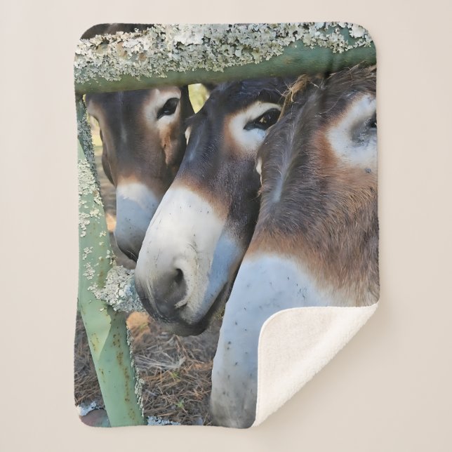 Couverture Sherpa Donkey Love Sherpa Blanket (Devant)
