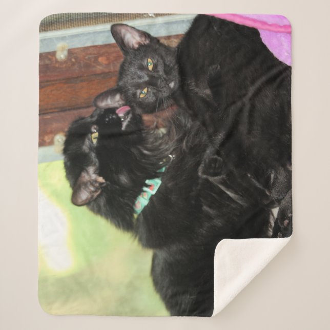 Couverture Sherpa Durée du bain (Devant)