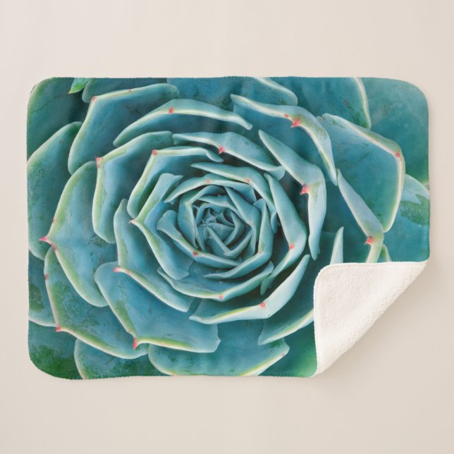 Couverture Sherpa Echeveria Rosette, Secret Garden of Marrakech (Devant (Horizontal))