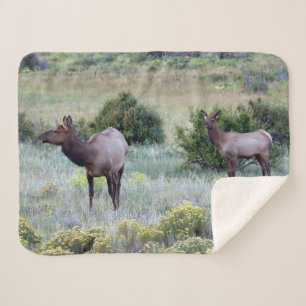Couverture Sherpa Élan d'Amérique Colorado