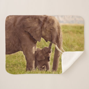 Couverture Sherpa Éléphant et bébé des images   de Getty