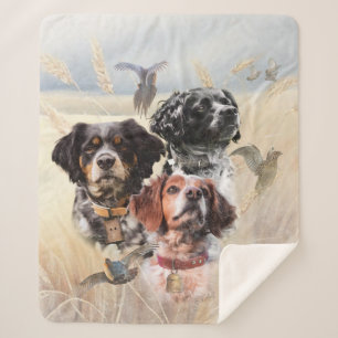 Couverture Sherpa Épagneul breton