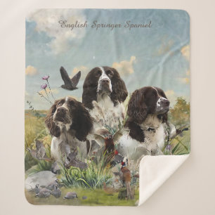 Couverture Sherpa Espagnol Springer anglais, Art