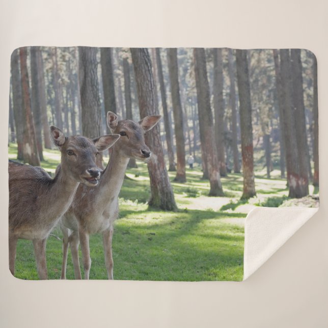 COUVERTURE SHERPA FAWNS (Devant (Horizontal))