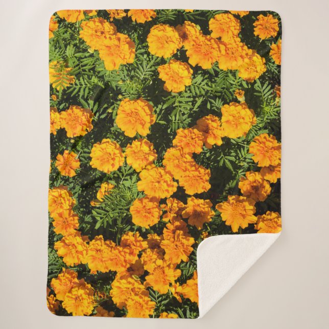 Couverture Sherpa Fleur de Marigold en fleurs (Devant)