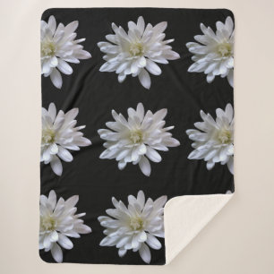 Couverture Sherpa Fleurs blanches motifs de marguerite