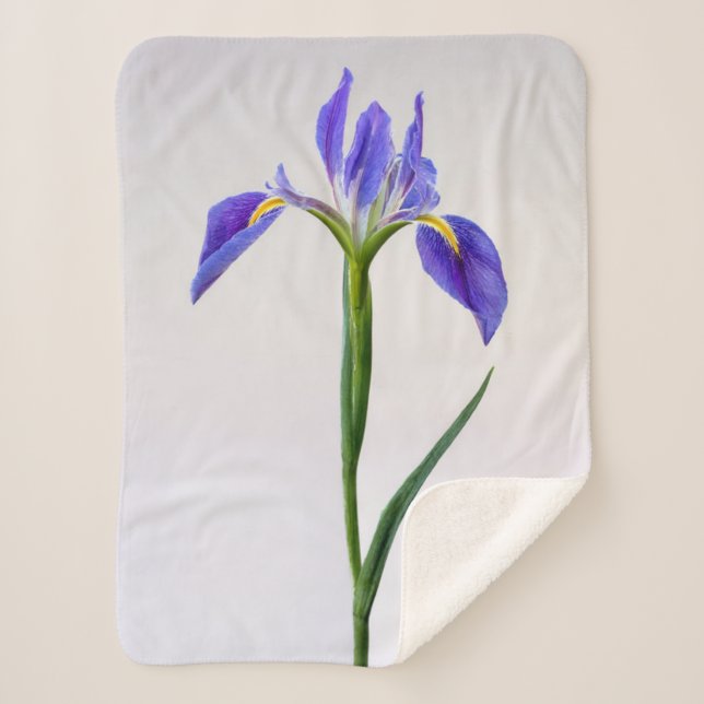 Couverture Sherpa Fleurs | Fleur Iris Violet (Devant)