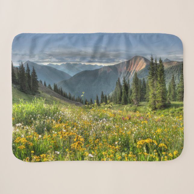 Couverture Sherpa Flowers (homonymie) | Wildflowers Silverton Colora (Devant (Horizontal))