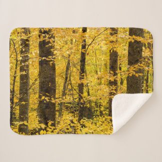 Couverture Sherpa Forêt nationale de Fall Pisgah