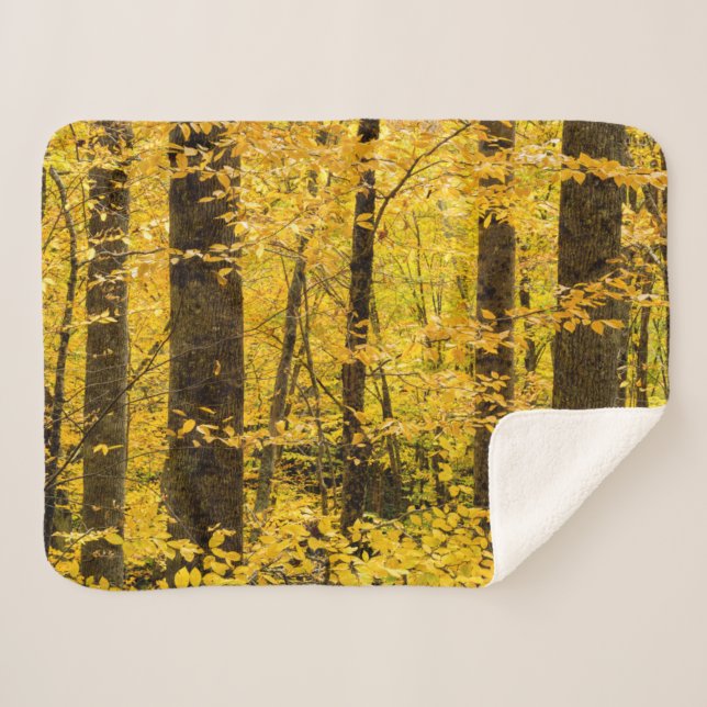 Couverture Sherpa Forêt nationale de Fall Pisgah (Devant (Horizontal))