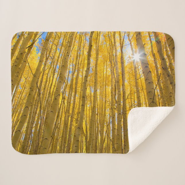 Couverture Sherpa Forêt nationale de White River (Devant (Horizontal))