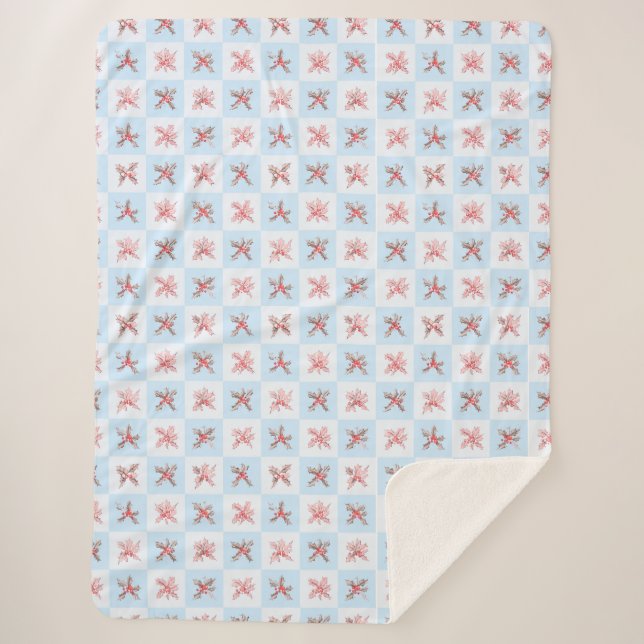 Couverture Sherpa Fruits qui me rappellent l'hiver (Devant)