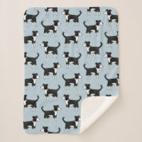 Gallois Border Collie Chien
