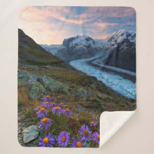 Couverture Sherpa Glacier   Suisse de Monte Rosa