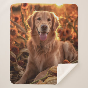 Couverture Sherpa Golden Retriever d'automne