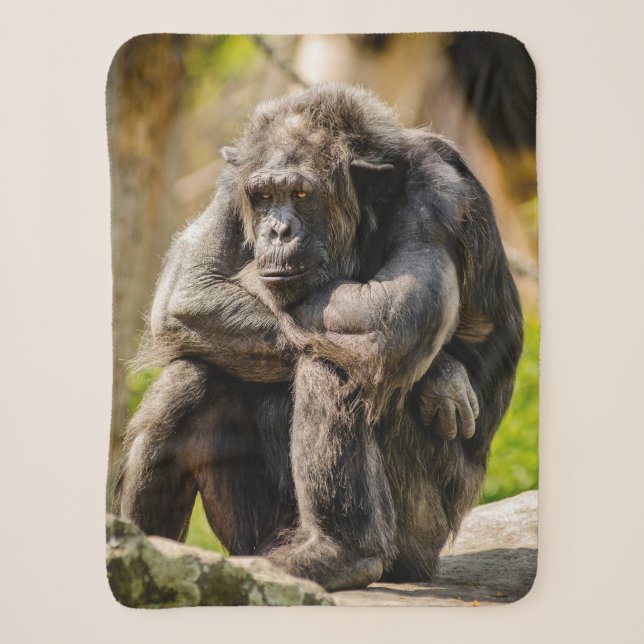 Couverture Sherpa Gorille (Devant)