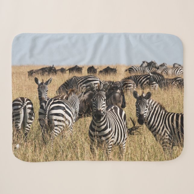 Couverture Sherpa Grant's Zebra Sherpa Blanket (Devant (Horizontal))