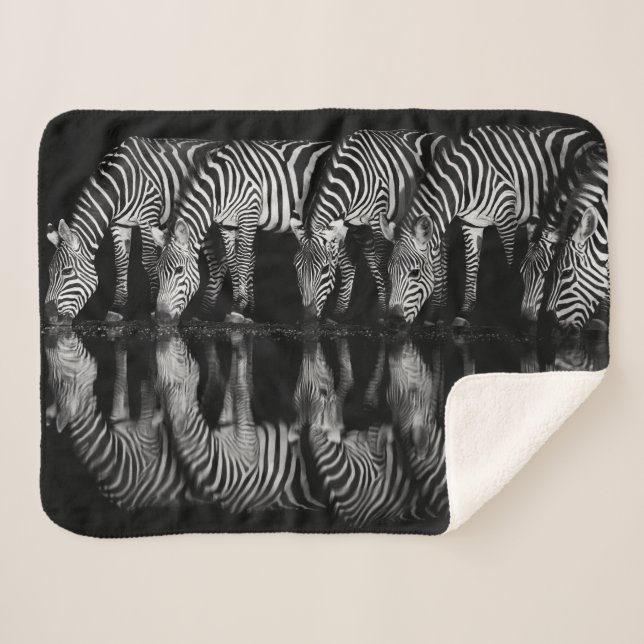 Couverture Sherpa Group of Plains Zebra Drink Together at Night (Devant (Horizontal))