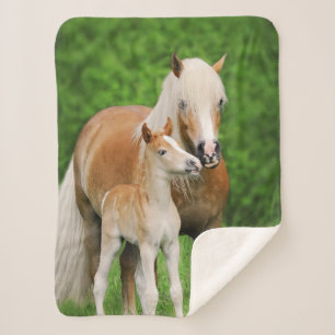 Couverture Sherpa Haflinger Horse mignon Bébé Foal Baiser Mum Pony P