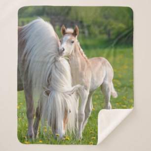 Couverture Sherpa Haflinger Horses Cute Baby Foal Avec Maman Photo .