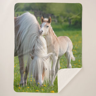 Couverture Sherpa Haflinger Horses Cute Baby Foin Avec Maman Photo /