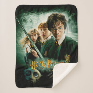 Couverture Sherpa Harry Potter Ron Hermione Dobby Photo de groupe