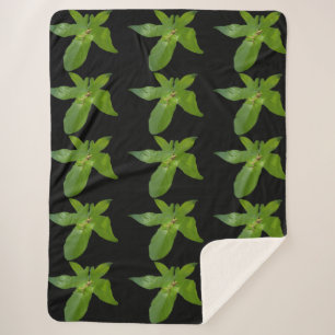 Couverture Sherpa "Havre de feuilles : une petite grenouille verte s