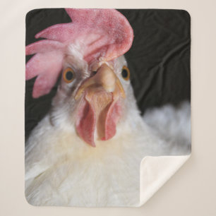 Couverture Sherpa Hen