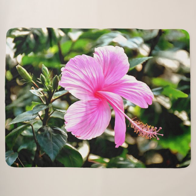 Couverture Sherpa Hibiscus rose tropical vif (Devant (Horizontal))