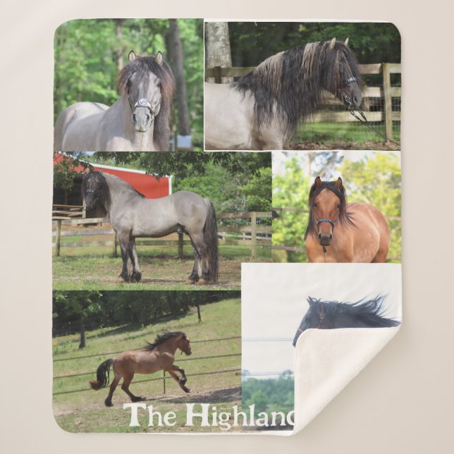 Couverture Sherpa Highland Pony Blanket (Devant)