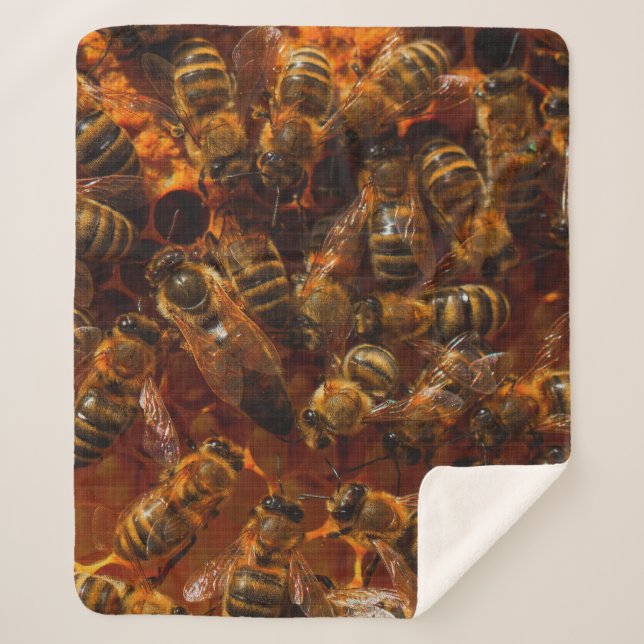 COUVERTURE SHERPA HONEYBEES 7 (Devant)