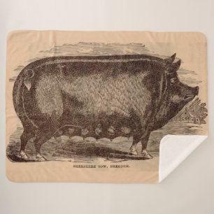 Couverture Sherpa Impression de porc du 19e siècle Berkshire semé no