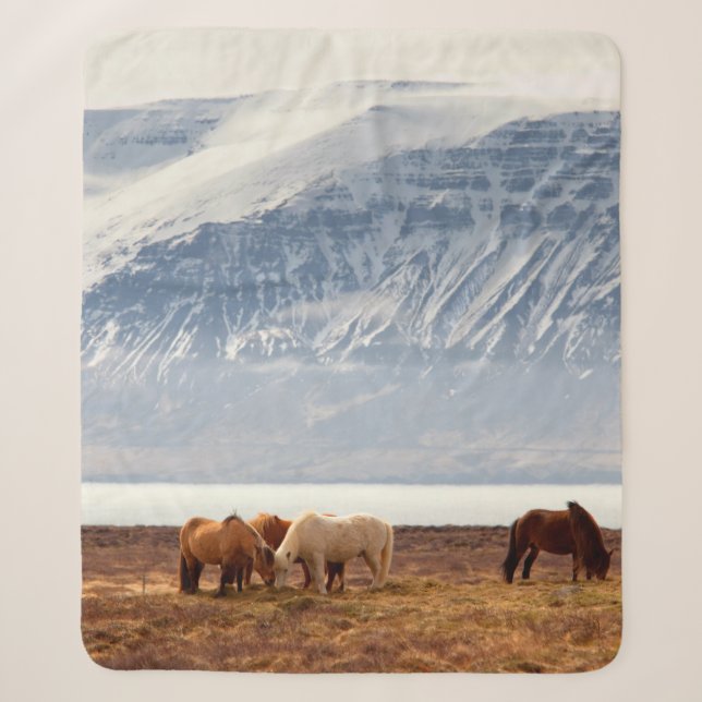 COUVERTURE SHERPA ISLANDE (Devant)