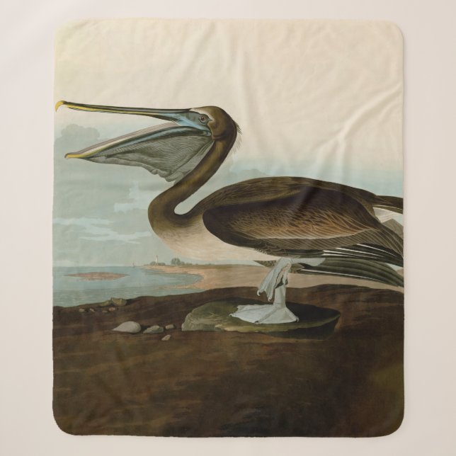 Couverture Sherpa John James Audubon Peinture Pélicane Brown (Devant)