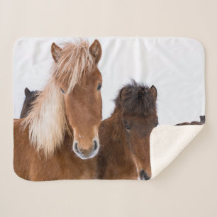 Couverture Sherpa Jolis chevaux islandais ensemble