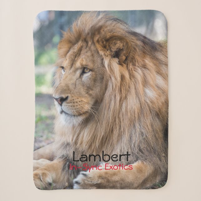 Couverture Sherpa Lamber -  (Devant)