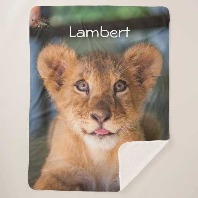 Couverture Sherpa Lambert (Devant)