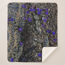 Les montagnes du Colorado