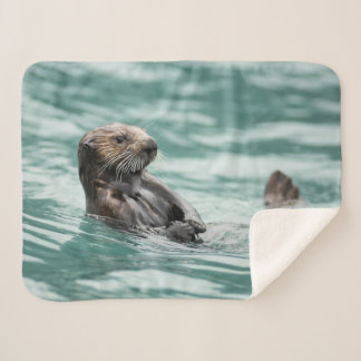 Couverture Sherpa Loutre de mer de observation