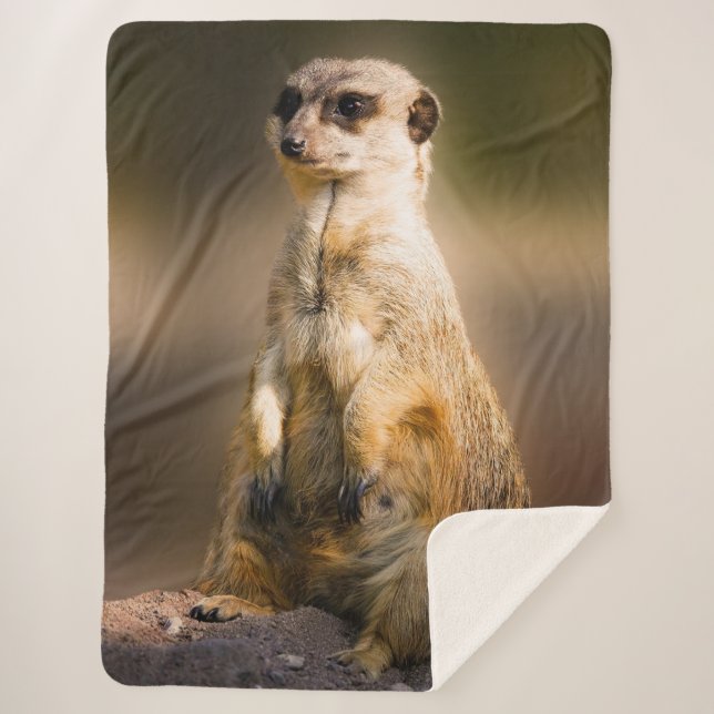 COUVERTURE SHERPA MEERKAT (Devant)