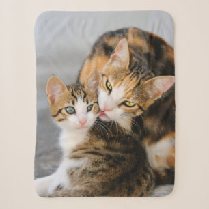 Couverture Sherpa Mère Chat aime mignonne Bébé Kitten Animal Photo s