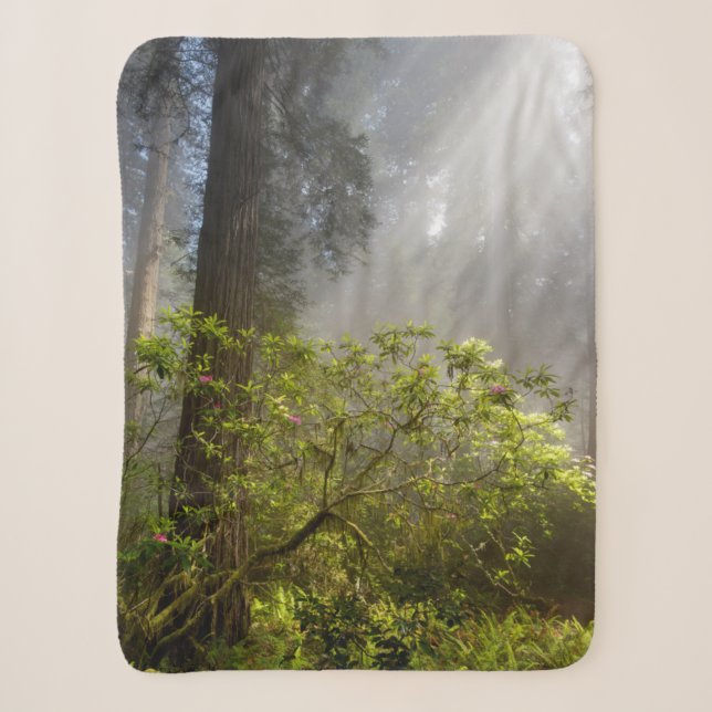 Couverture Sherpa Mist du matin sur Rhododendron (Devant)