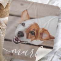 Moderne Simple Jouer Élégant Chic Pet Photo