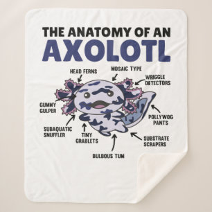 Couverture Sherpa Mosaïque Axolotl Explication Anatomie D'Un Axolotl