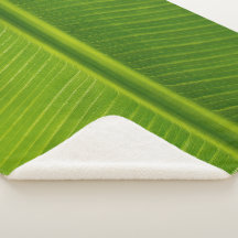 Motif de feuille de banane verte fraîche