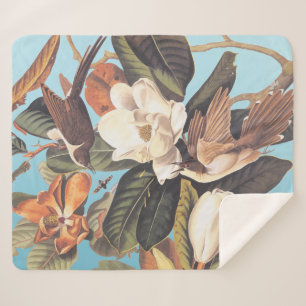 Couverture Sherpa Oiseau à bec noir