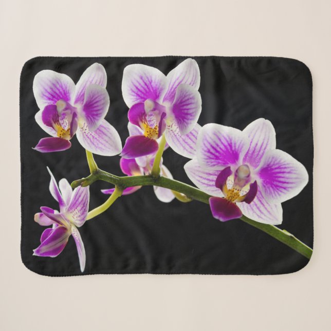 Couverture Sherpa Orchidée blanche et violette (Devant (Horizontal))