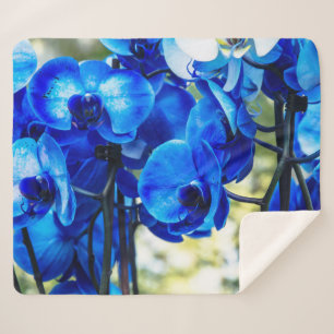 Couverture Sherpa Orchidées bleues