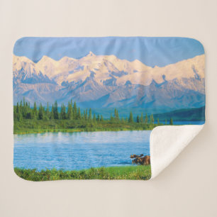 Couverture Sherpa Orignal mâle dans le Wonder Lake