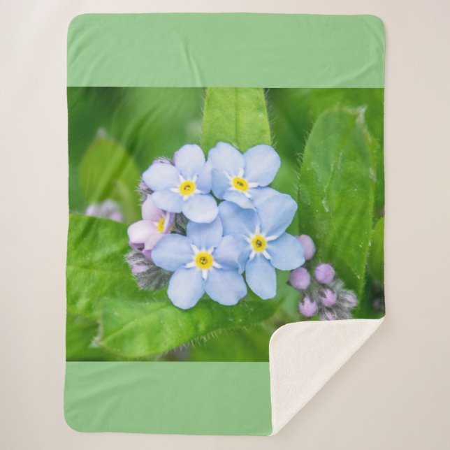 Couverture Sherpa Oublie-moi-non (Devant)